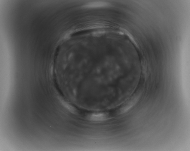 X0000114620357200910201137