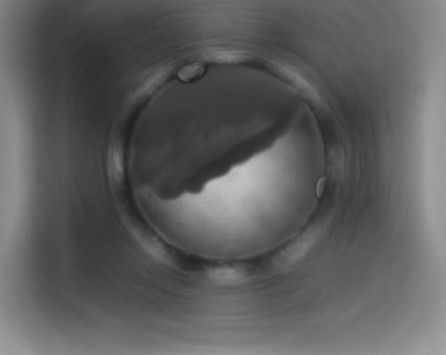 X0000114620358200910201137