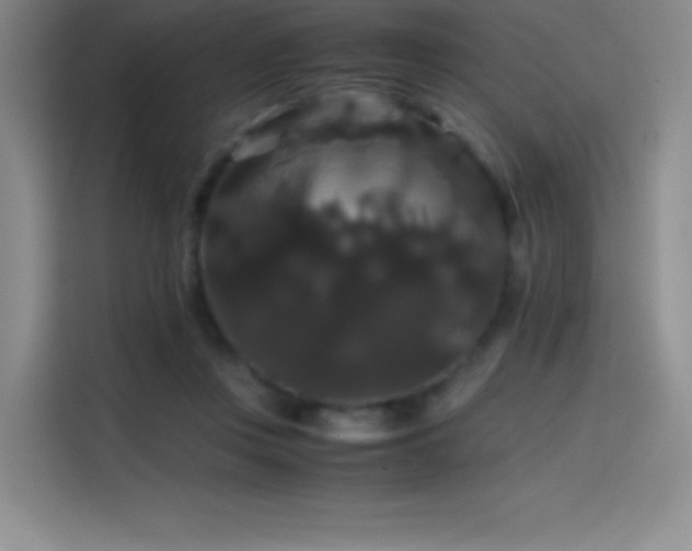 X0000114620359200910201137