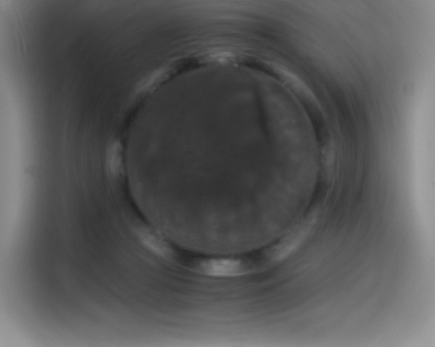 X0000114620361200910201137