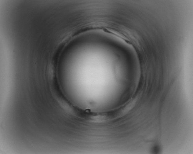 X0000114620362200910201137