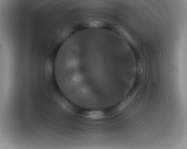X0000114620363200910201137