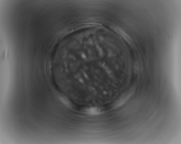 X0000114620365200910201137