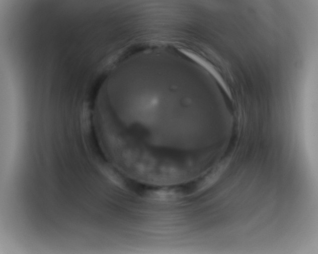 X0000114620366200910201137