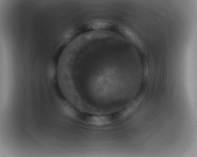 X0000114620367200910201137