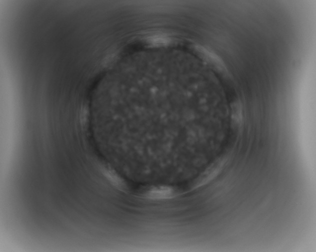 X0000114620369200910201137