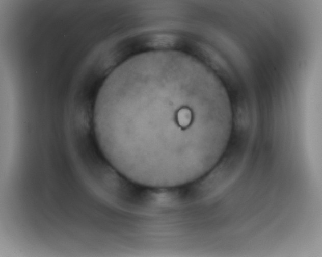 X0000114620370200910201137