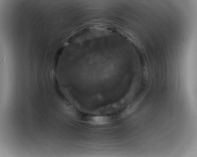 X0000114620371200910201137