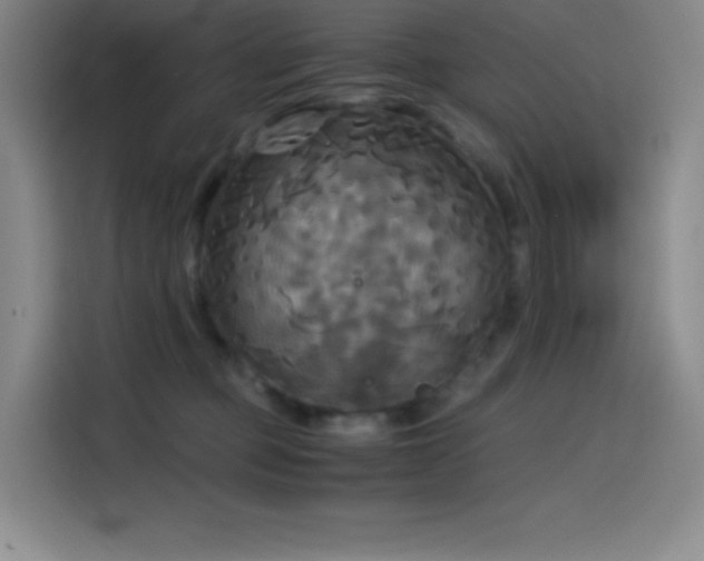 X0000114620373200910201137