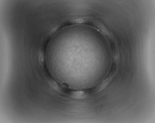 X0000114620374200910201137