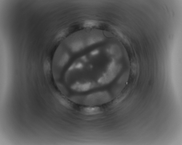 X0000114620375200910201137