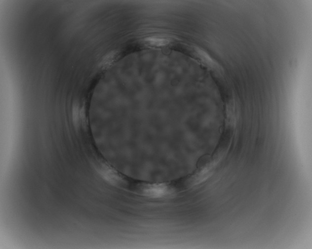 X0000114620377200910201137