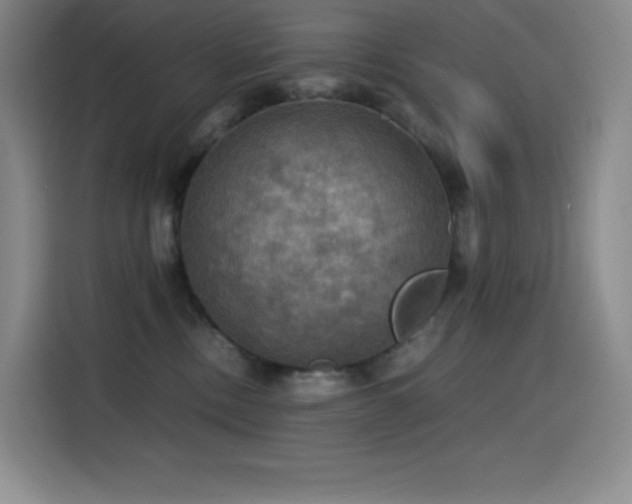X0000114620378200910201137