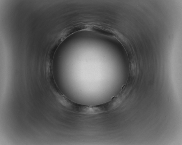 X0000114620379200910201137