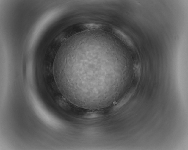 X0000114620381200910201137