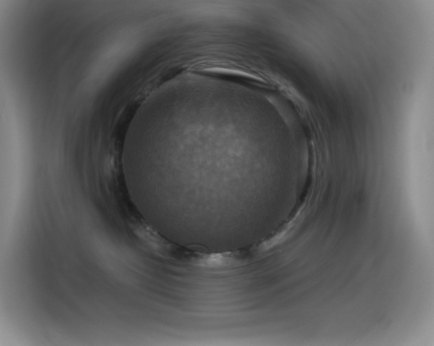 X0000114620382200910201137
