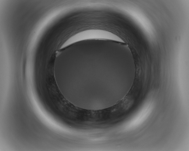 X0000114620383200910201137