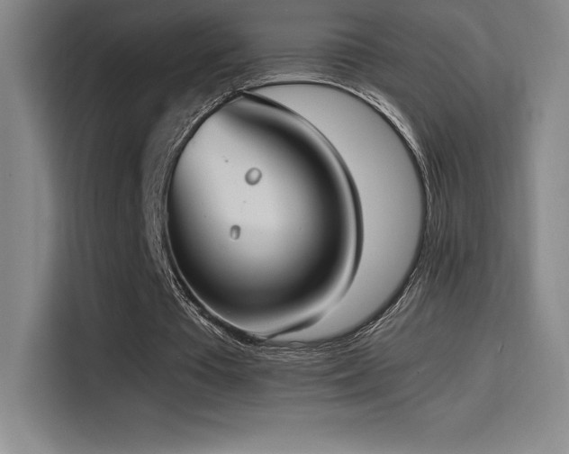 X0000114620385200910201137