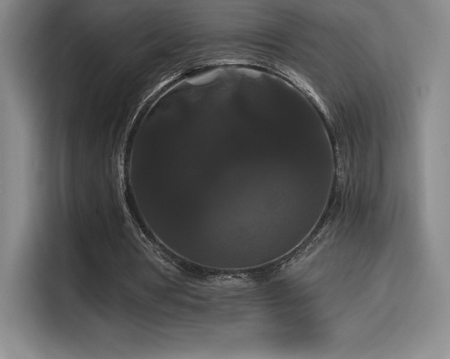 X0000114620386200910201137