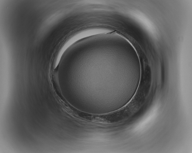 X0000114620387200910201137