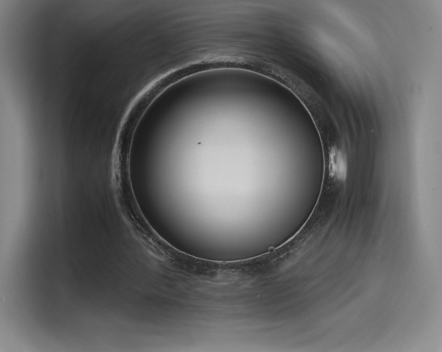 X0000114620388200910201137