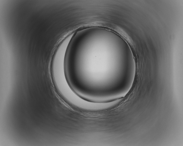 X0000114620389200910201137