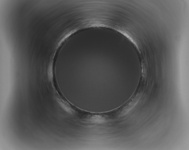 X0000114620390200910201137