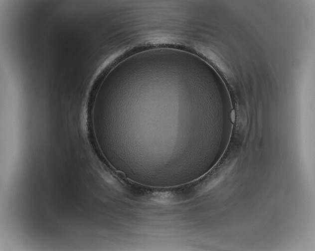 X0000114620391200910201137