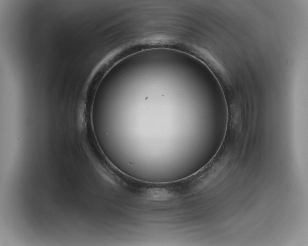 X0000114620392200910201137
