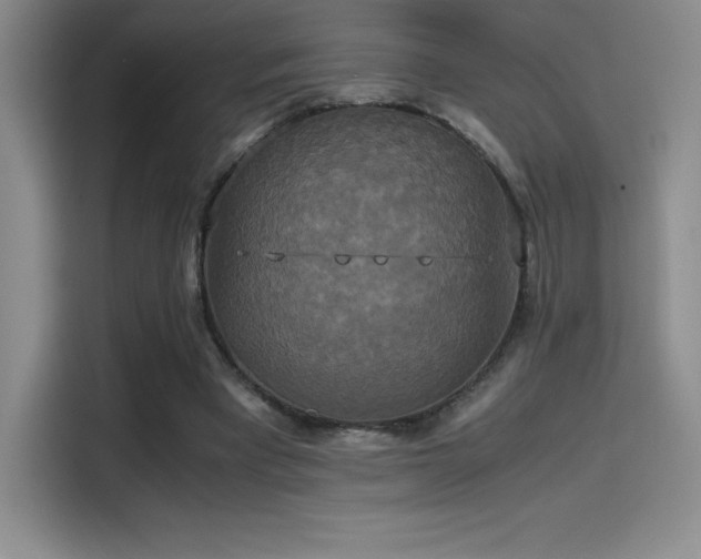 X0000114620393200910201137