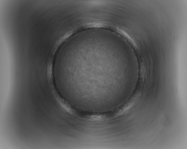 X0000114620394200910201137