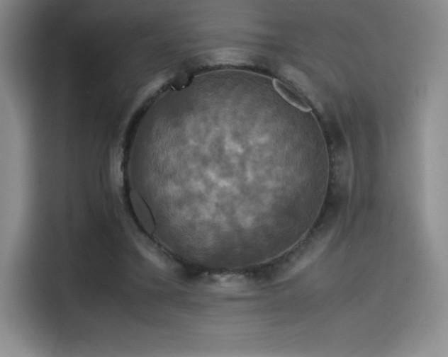 X0000114620395200910201137