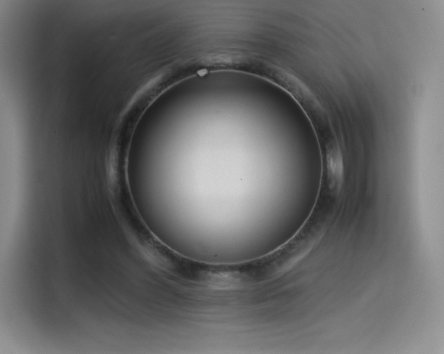 X0000114620396200910201137