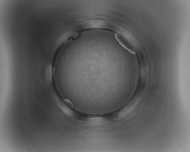 X0000114620397200910201137