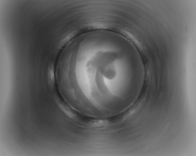 X0000114620398200910201137