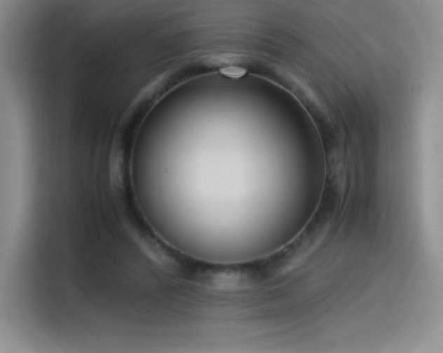 X0000114620400200910201136