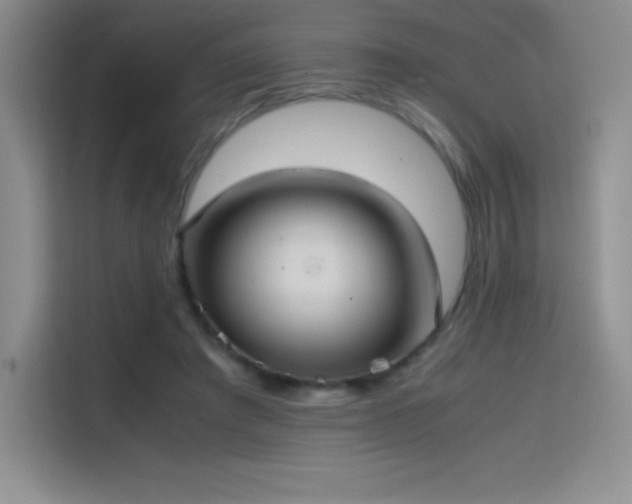 X0000114620401200910201136
