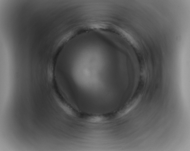 X0000114620402200910201136