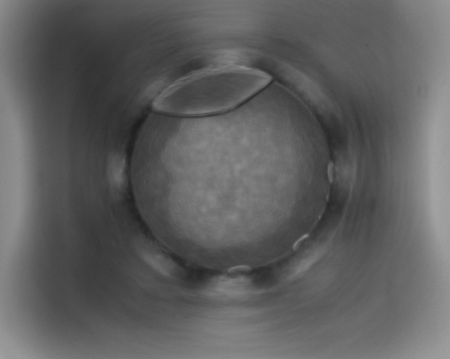 X0000114620403200910201136