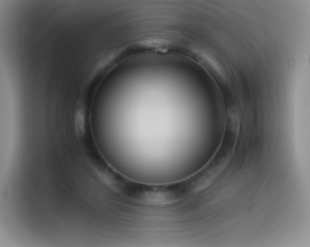 X0000114620404200910201136