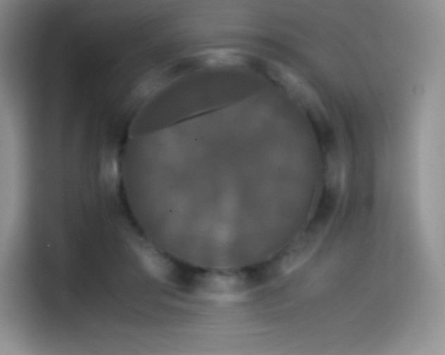 X0000114620405200910201136