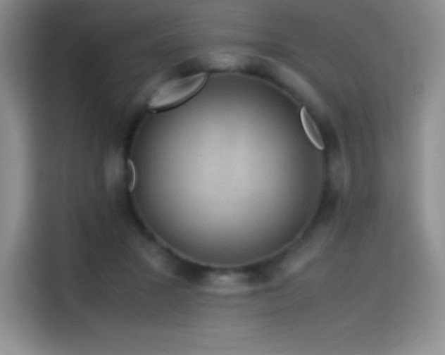 X0000114620407200910201136
