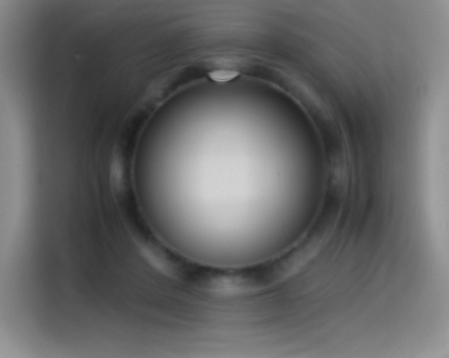 X0000114620408200910201136