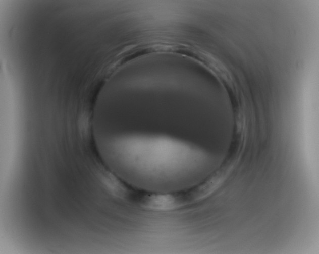 X0000114620409200910201136
