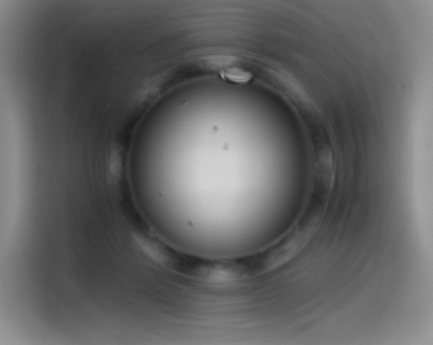 X0000114620412200910201136