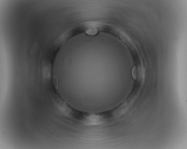 X0000114620413200910201136