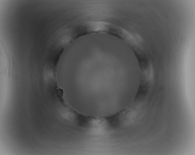 X0000114620415200910201136