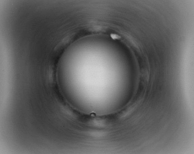 X0000114620416200910201136