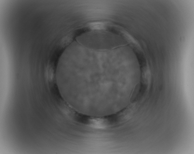 X0000114620417200910201136