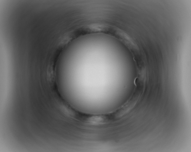 X0000114620418200910201136